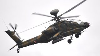 【1機最高216億円で調達した幻の戦闘ヘリ】 陸上自衛隊 AH64D アパッチ・ロングボウ M230 30mm機関砲射撃｜Japan AH64D Apache Longbow JGSDF [upl. by Hagi504]