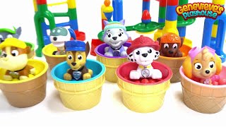 Paw Patrol help Build a Giant Colorful Marble Maze [upl. by Nuawd]