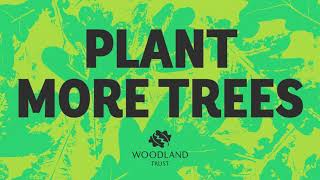 Plant More Trees TV Ad [upl. by Adnopoz]