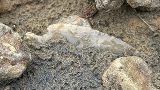 Arrowhead hunting the Ohio River in December [upl. by Macri]