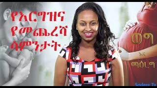 የእርግዝና የመጨረሻ ሳምንታት  ወግ እና ማዕረግ ክፍል 1 Weg Ena Maereg Program One [upl. by Blanca676]