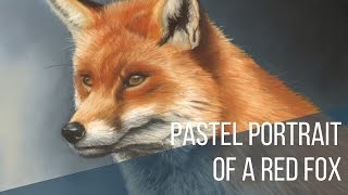 Time Lapse Pastel Portrait of a Red Fox [upl. by Yeo]