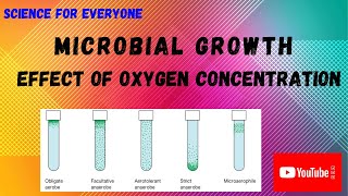 Effect of Oxygen Over Microbial Growth  Detailed Explanations  Reasons [upl. by Seften548]