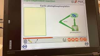 KS5ALEVELBIOLOGYPhotosynthesis The Light Dependent reaction [upl. by Enajiram728]