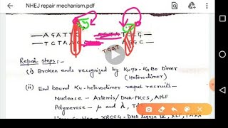 Non Homologous End Joining Repair Mechanism [upl. by Fromma668]