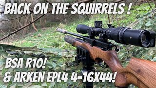 Back out again on the Grey Squirrels with BSA R10 amp Arken EPL4 Feeder Action [upl. by Eulau653]