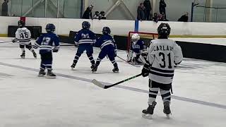 D Yale jr bulldogs hockey 10 19 24 [upl. by Erdah]