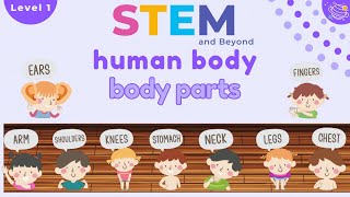 Body Parts  Science For Kids  STEM Home Learning [upl. by Nyrraf482]