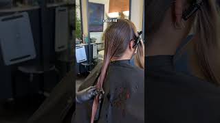 Blonde to brunette colorfill fallhair cosmetology beauty hairtransformation [upl. by Anetsirhc]