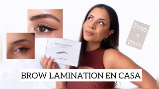 LAMINADO DE CEJAS EN CASA Planchado de cejas Brow Lamination Paso a paso [upl. by Ji]