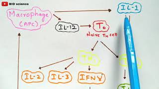 Cytokines  Bio science [upl. by Andryc]