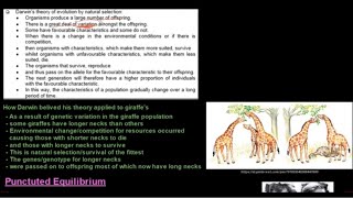 Grade 12 Life Sciences Evolution Part 2 [upl. by Llerrehc878]