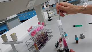 Serological test for Salmonella identification Slide agglutination method [upl. by Hayidan]