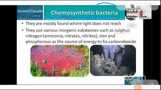 Class 11 Chemosynthetic Bacteria [upl. by Atiuqcir]