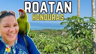 ROATAN HONDURAS Sloths Monkeys West Bay Beach and an UNEXPECTED change of plan [upl. by Tennek]