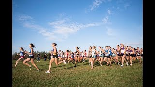 American Athletic Conference Cross Country Championships [upl. by Cock]