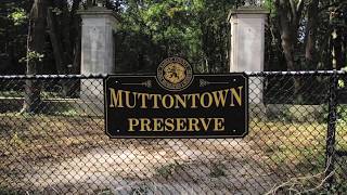 Muttontown Preserve Ruins Documentary [upl. by Naie]