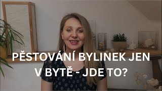 Je možné pěstovat bylinky jen v bytě [upl. by Acinaj653]