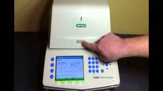 BioRad CFX96 qPCR System TheLabWorld Real Time PCR [upl. by Hanaj119]