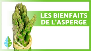 BIENFAITS des ASPERGES 💚 Propriétés Comment les Manger et Contreindications [upl. by Dom]