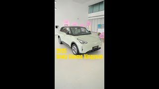 The New 2025 Geely Geome Xingyuan EV Review amp Walkaround [upl. by Johannah]