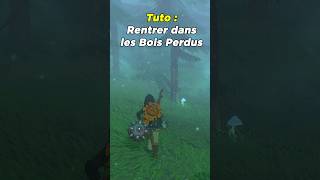 Zelda  Les Bois Perdus  🌳Tears of The Kingdom [upl. by Nitsreik307]