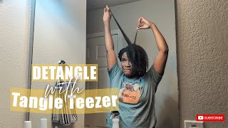 Easy 10Minute Hair Detangling Routine with Tangle Teezer  No Breakage Maximum Shine [upl. by Leviralc]