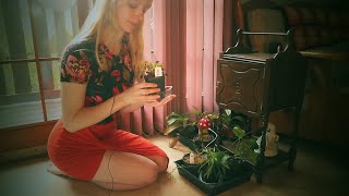 Soft Spoken Houseplant Tour ASMR [upl. by Llertac]