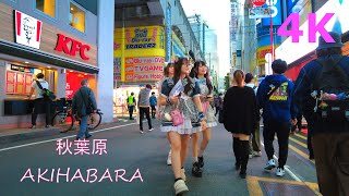 【4k】Tokyo walkAkihabara🧸秋葉原を散歩 [upl. by Elfstan829]