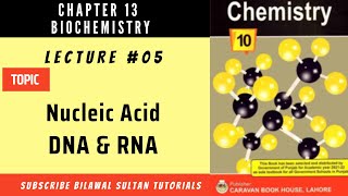 Lecture 5 Nucleic Acids DNA amp RNA  All Punjab Boards Federal Board KP Board [upl. by Thornburg]