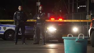 27 Year Old Man Fatally Shot in Brooklyn NYC 101224 [upl. by Nauqit]