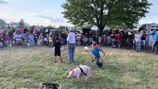 Greased pig contest at Albert City Threshermen’s Fair [upl. by Joanne]