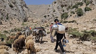 IRAN nomadic life  Migration to the highlands because of grass for sheep  Difficult roads [upl. by Akkin510]