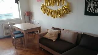 De Inchiriat Timișoara Ultracentral Apartament 3 Camere [upl. by Ahsenev]