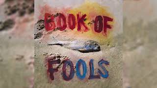 Mipso  Starry Eyes  Book of Fools Official Audio [upl. by Eimirej567]