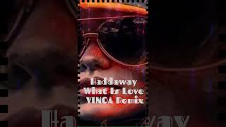 Haddaway What Is Love VINOA Remix [upl. by Bobseine]