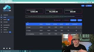 VaporFi Basics How To Use An RPC Endpoint [upl. by Dahraf]