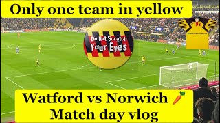 Watford vs Norwich match day vlog [upl. by Akkim]