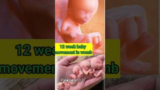 12 week pregnancy  12 week pregnancy ultrasound shorts ytshortspregnancy manikemagehitheremix [upl. by Acnalb]