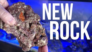 Adding live rock to established saltwater aquarium  KP Aquatics live rock for saltwater tanks [upl. by Einnad]