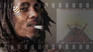 Bob Marley and The Wailers Dub Sessions  Reggae Masters [upl. by Atiz]