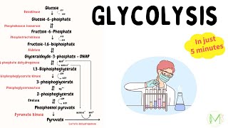 Glycolysis  Made easy in just 5 min  Biochemistry  Medinare [upl. by Eivad]