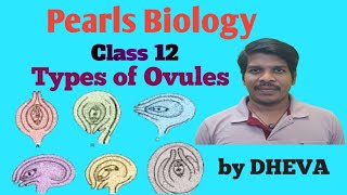 class 12 Reproduction in flowering plants Types of Ovule [upl. by Htrowslle]