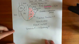 The FrankStarling Law of the Heart Part 2 [upl. by Nnawtna]