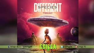 Teejay  Different Species Clean Radio Version [upl. by Cheyne871]