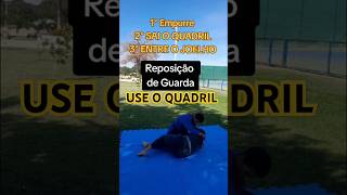 Técnica de JiuJitsu Reposição de Guarda saindo do 100kg Jogo de Quadril para Guardeiro mma bjj [upl. by Brynne163]