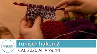 Knottenwolnl CAL 2020 Tunisch haken 2 [upl. by Enaerb]