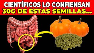 ¿Qué hacen las PIPAS DE CALABAZA a tu CUERPO😱​¡Efectos impactantes [upl. by Anabal]