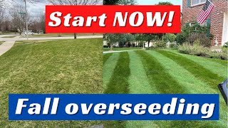 Lawn Overseeding In Fall How YOU Can Transform Your Lawn [upl. by Elihu746]