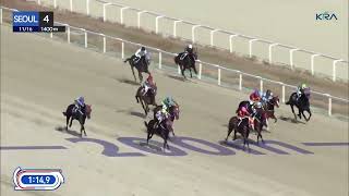 Seoul 20241116 R4 Class 5 1400M Handicap [upl. by Darsie]